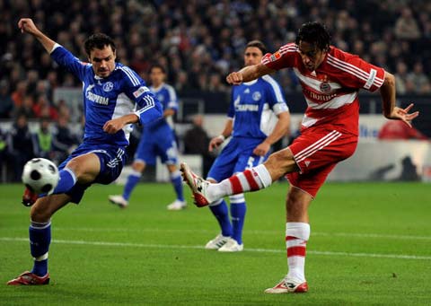 活的双重角 活的双重角